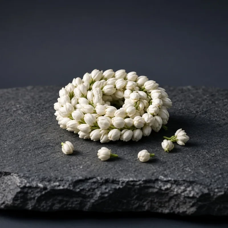 Jasmine (India)