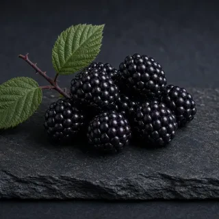 Ожина