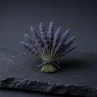 Лаванда (Прованс)