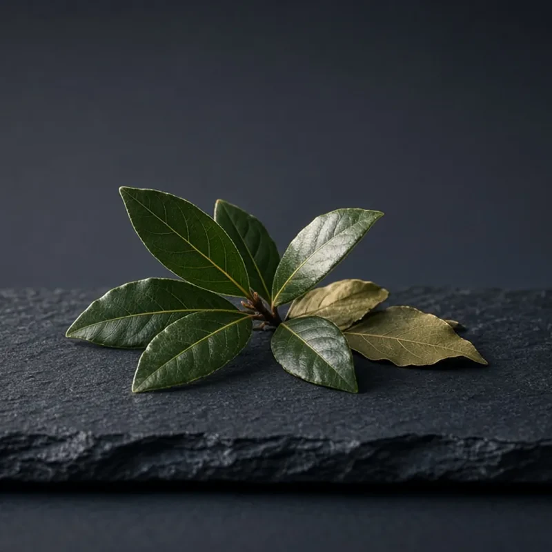 Bay Laurel