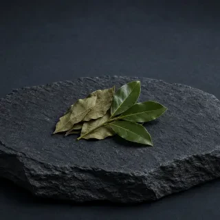 Лавровий лист