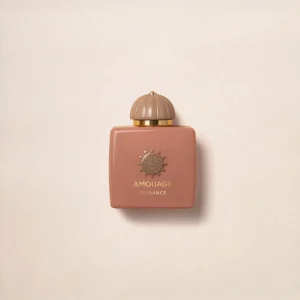 GUIDANCE