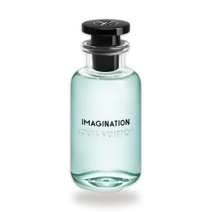 Imagination